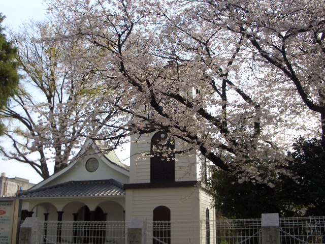 c0152507_414960.jpg