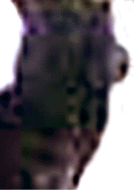 e0103408_1244998.gif