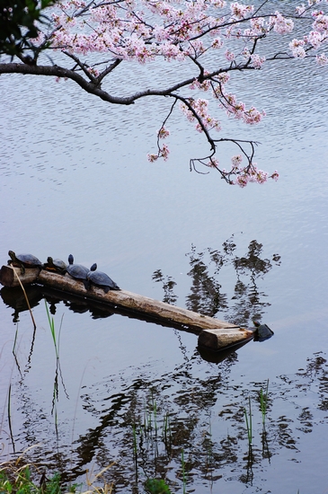 c0146510_16321742.jpg