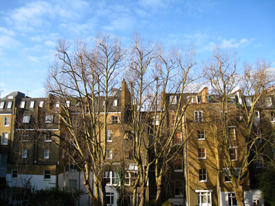 f0033510_812794.jpg