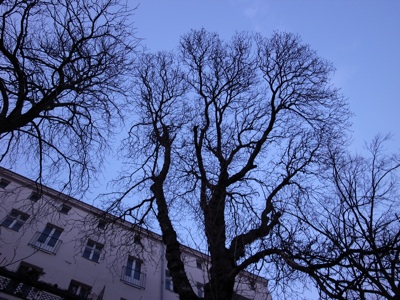 e0038811_18115166.jpg