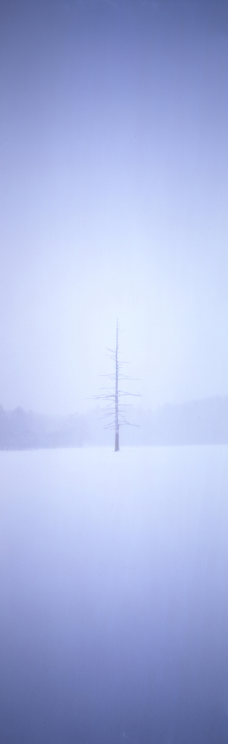c0016712_1585331.jpg