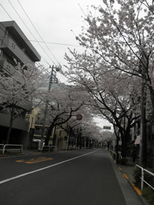 c0157412_15103931.jpg