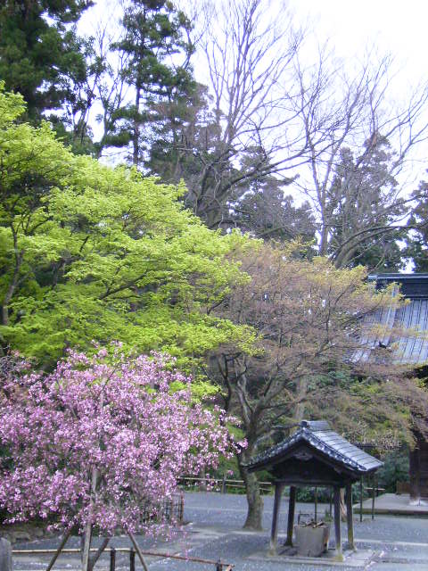f0208812_051203.jpg