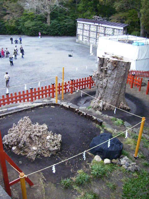 f0208812_172327.jpg