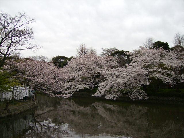 f0208812_173739.jpg