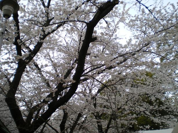 c0166113_9204068.jpg