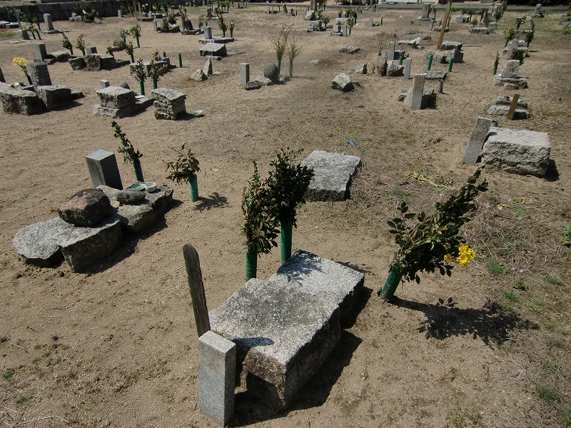 f0213613_18251427.jpg