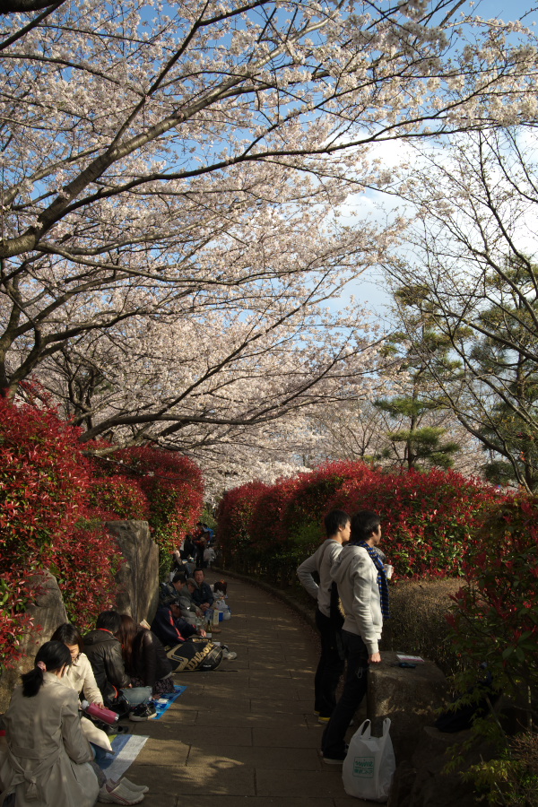 a0140914_0541246.jpg
