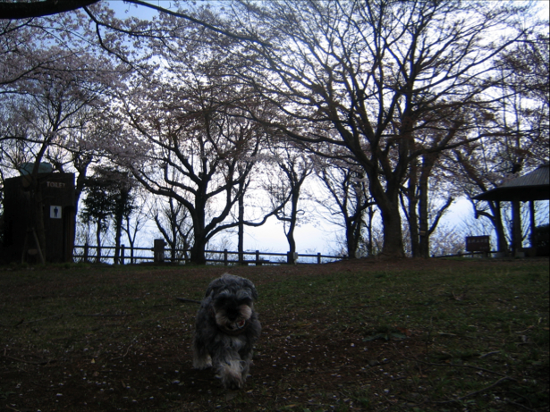 c0219815_2335119.jpg