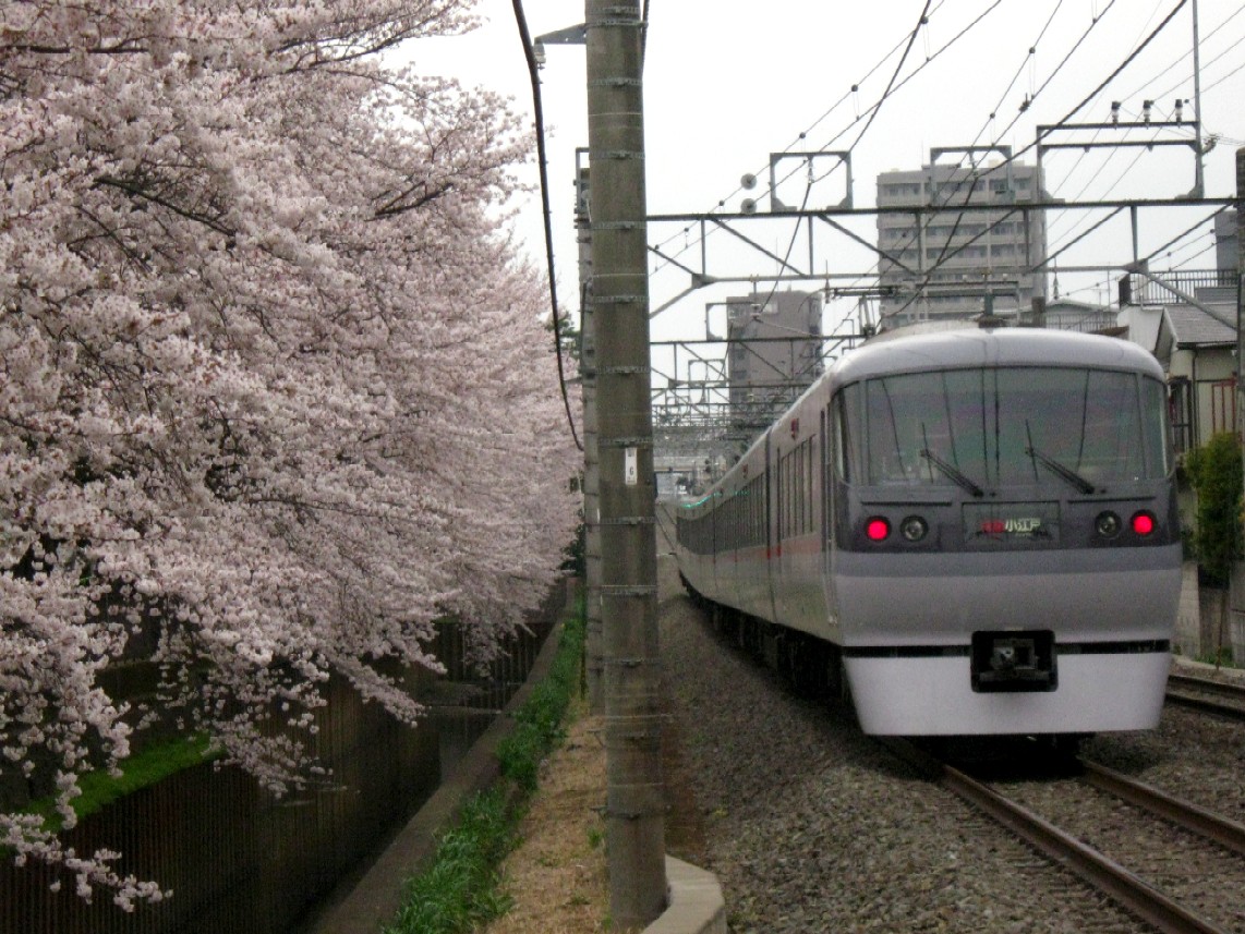 d0044222_23505025.jpg