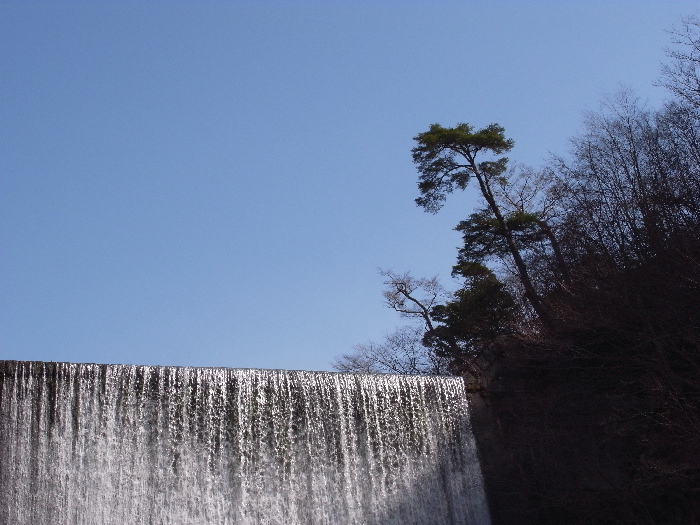 f0103126_7201387.jpg