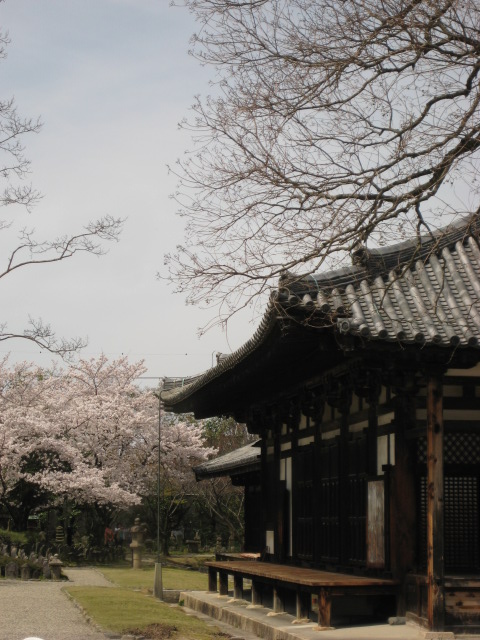 d0147727_19554164.jpg