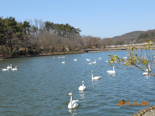a0020929_1711255.jpg