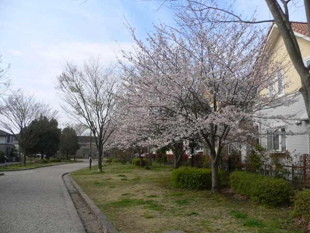 d0059230_12101039.jpg