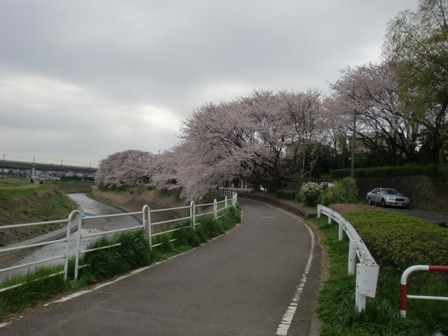 c0001632_2052553.jpg