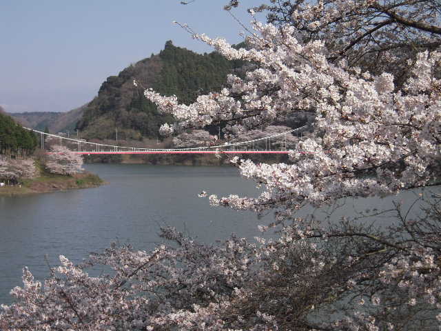 b0025633_22281346.jpg