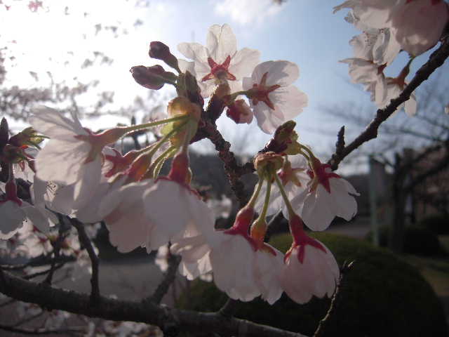 b0025633_22332979.jpg