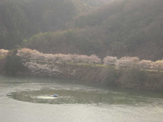 b0025633_22334331.jpg
