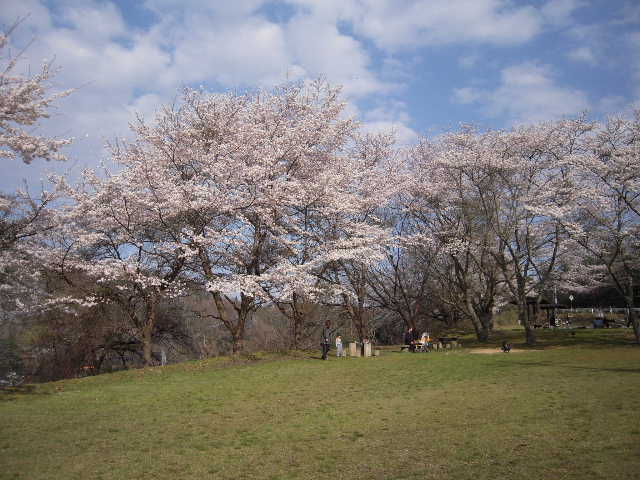 b0025633_22335925.jpg