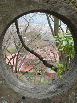 b0035734_20322858.jpg