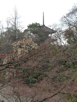 b0035734_20342112.jpg