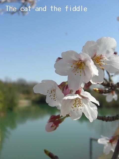 c0205234_19261636.jpg