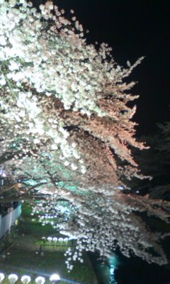 b0062337_29337.jpg