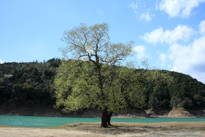 e0083238_2021285.jpg