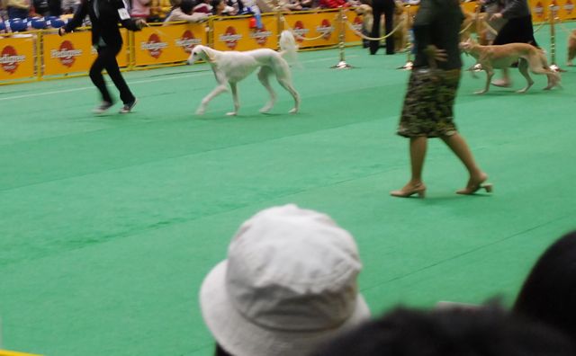 f0039538_2224994.jpg