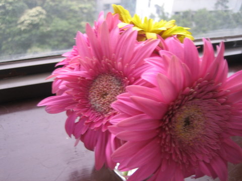 e0018143_18585193.jpg