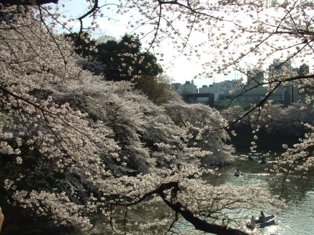c0071545_20531056.jpg