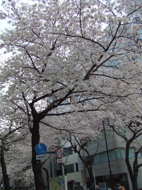 c0071545_2123445.jpg