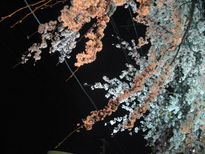 f0143445_196236.jpg