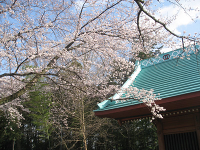 f0143445_1963215.jpg