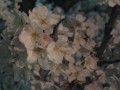f0143445_196920.jpg