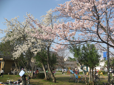 f0143445_1971458.jpg