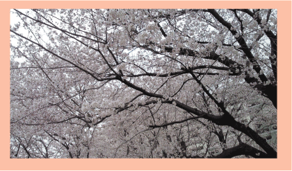 b0182846_16495894.gif