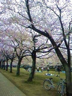 f0096147_17421314.jpg