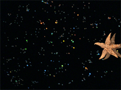 e0005548_12591298.gif