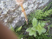 e0175148_1113672.jpg