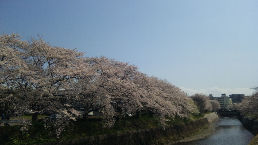 c0112550_13484922.jpg