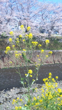 c0112550_13484925.jpg