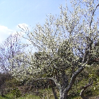 a0166851_20381315.jpg