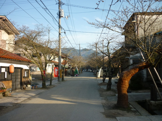 b0174451_731516.jpg