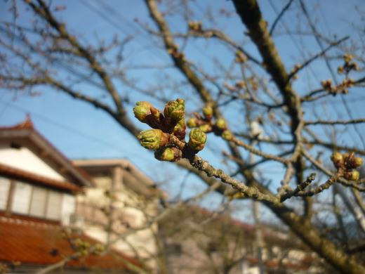 b0174451_7353357.jpg