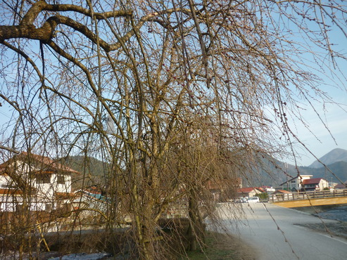 b0174451_7372170.jpg