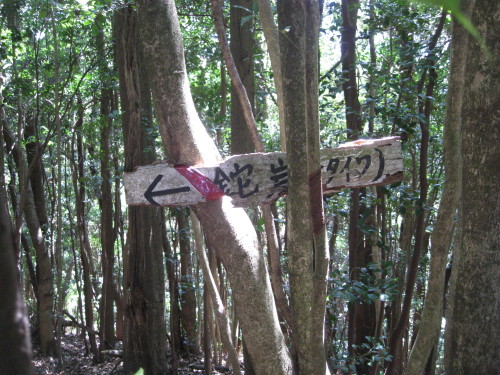c0179351_2110164.jpg