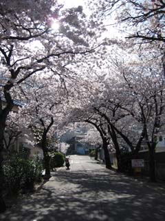 a0052952_18245710.jpg