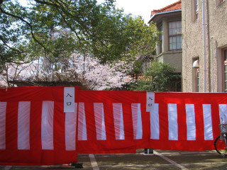 d0031853_7363240.jpg